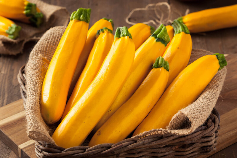 Cucurbita Gold Rush