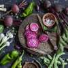 Beta vulgaris ssp. vulgaris 'Chioggia'