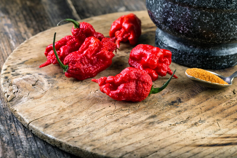 Capsicum chinese 'Carolina Reaper'