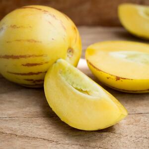 Solanum muricatum Pepino Gold
