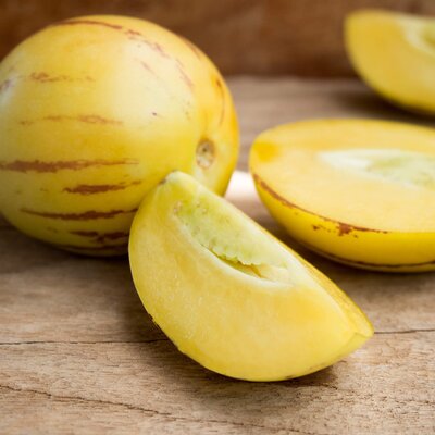 Solanum muricatum Pepino Gold