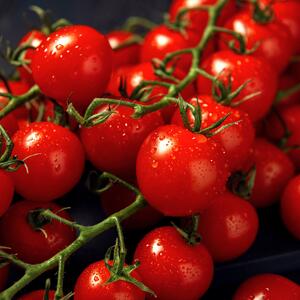 Solanum lycopersicum Anabelle