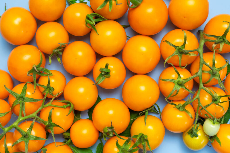 Solanum lycopersicum Goldkrone
