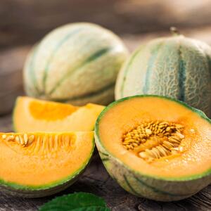 Cucumis melo