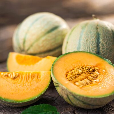 Cucumis melo