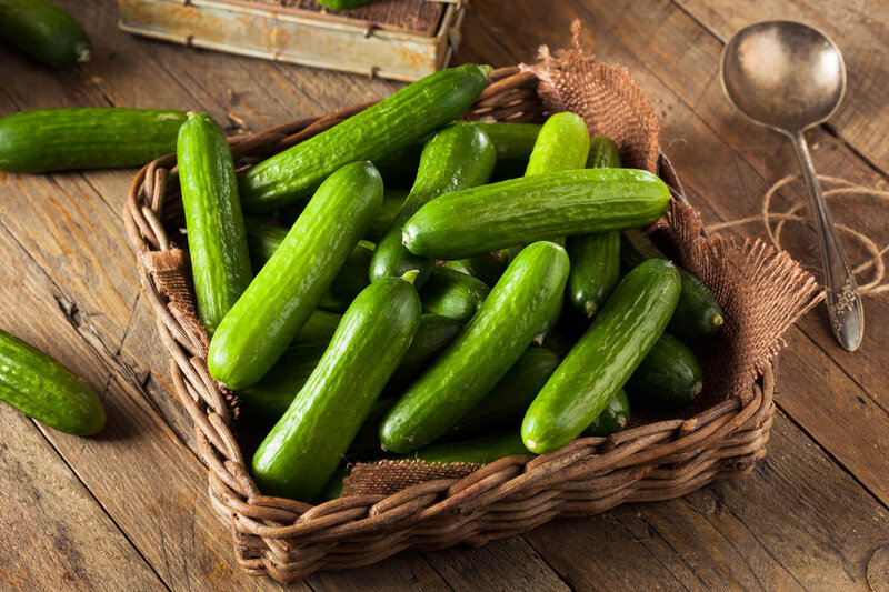 Cucumis sativus La Diva 