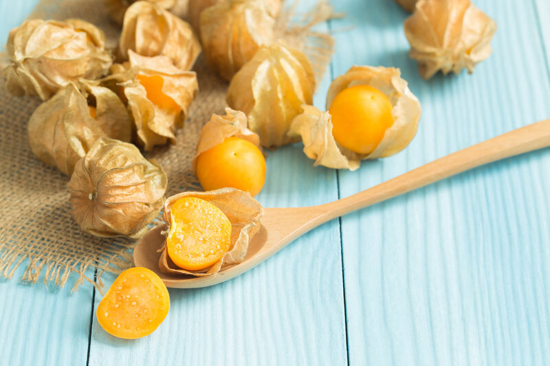 Physalis peruviana 'Schönbrunner Gold'