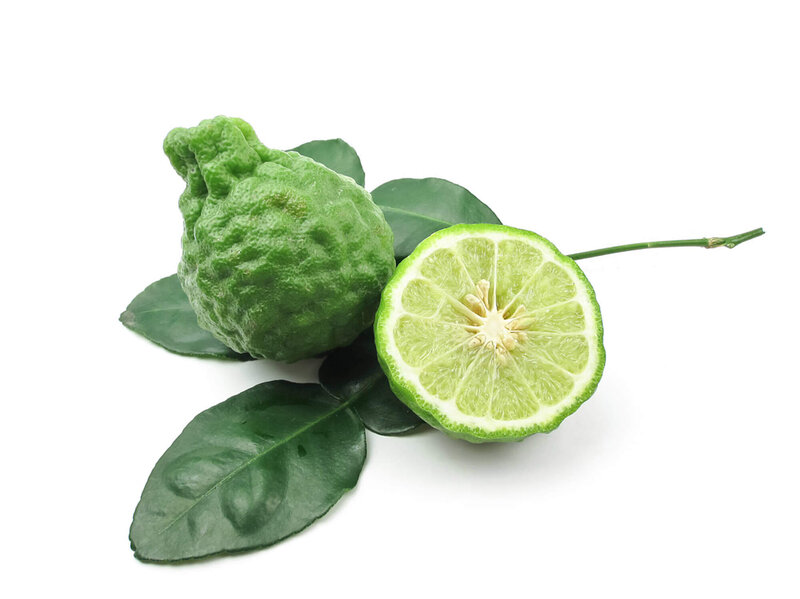 Citrus hystrix