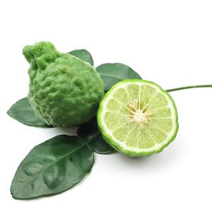 Citrus hystrix