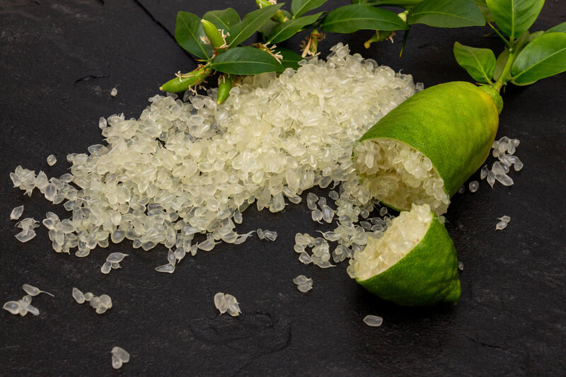 Microcitrus australasica