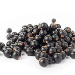 Ribes nigrum 'Silvergieters Schwarze'