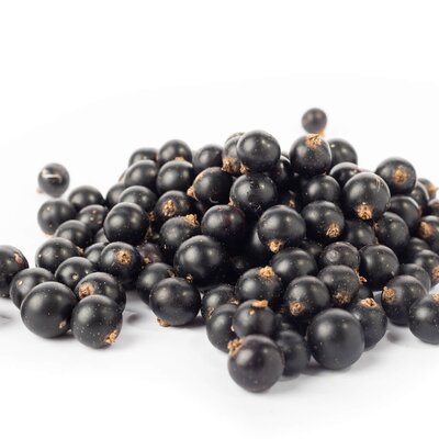 Ribes nigrum 'Silvergieters Schwarze'