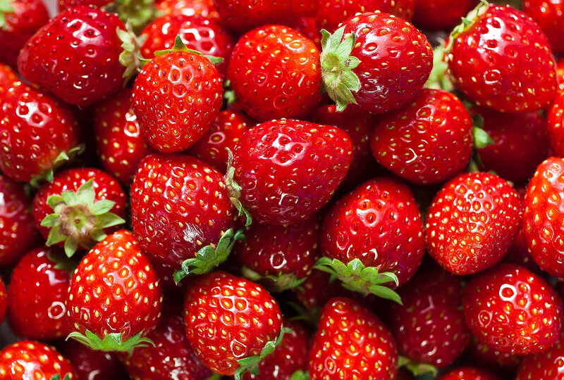 Fragaria x ananassa 'Flamenco'