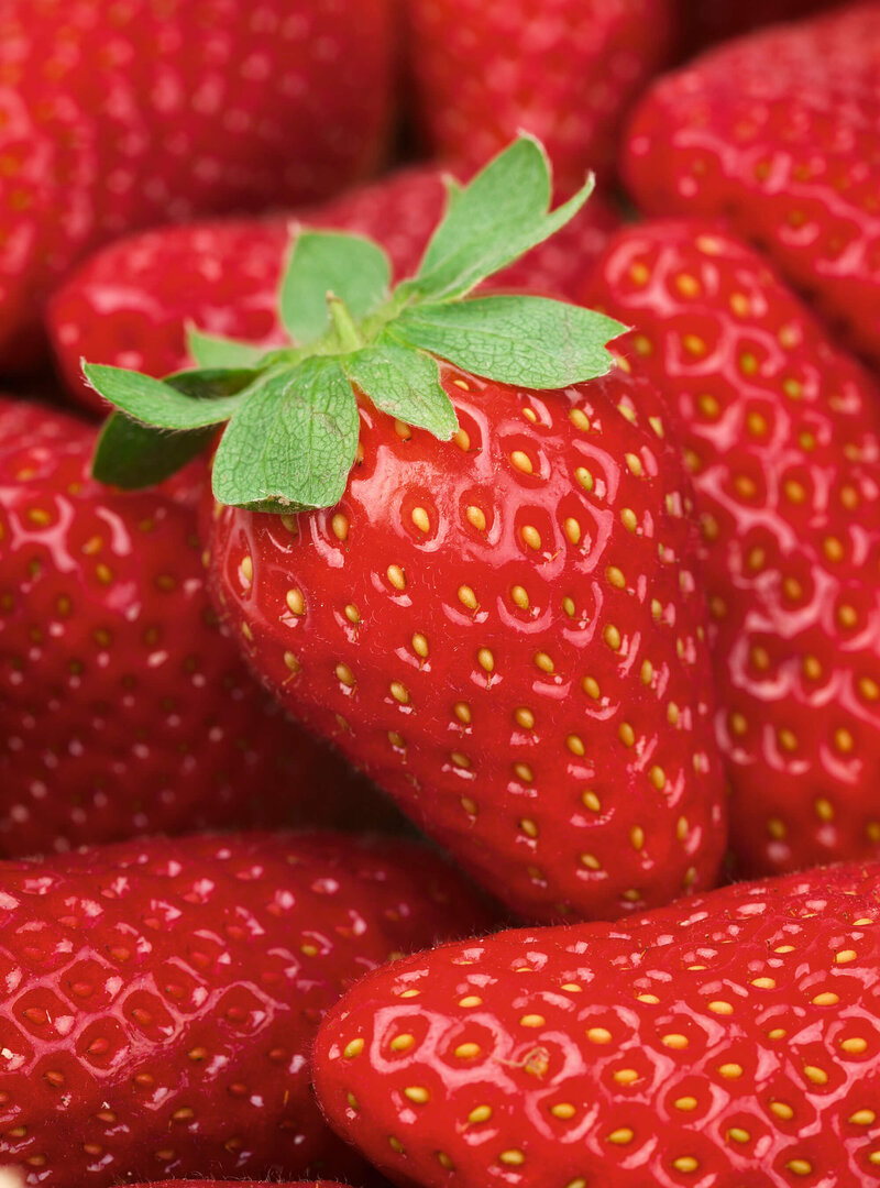 Fragaria x ananassa 'Ostara'