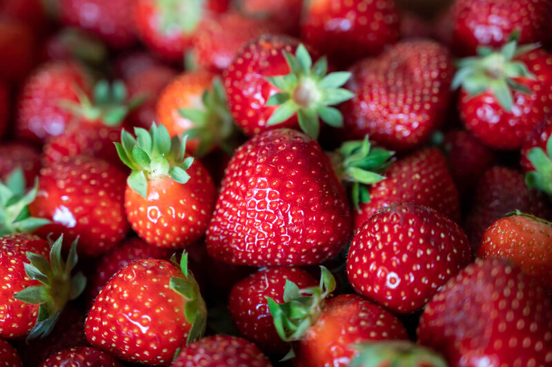 Fragaria x ananassa 'Renaissance'