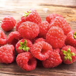 Rubus idaeus Tulameen