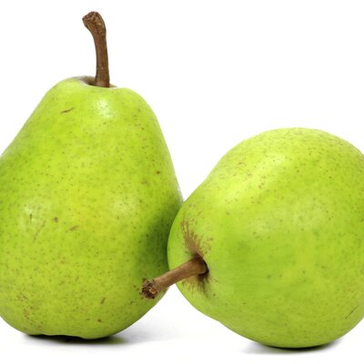 Pyrus communis ' Alexander Lucas'