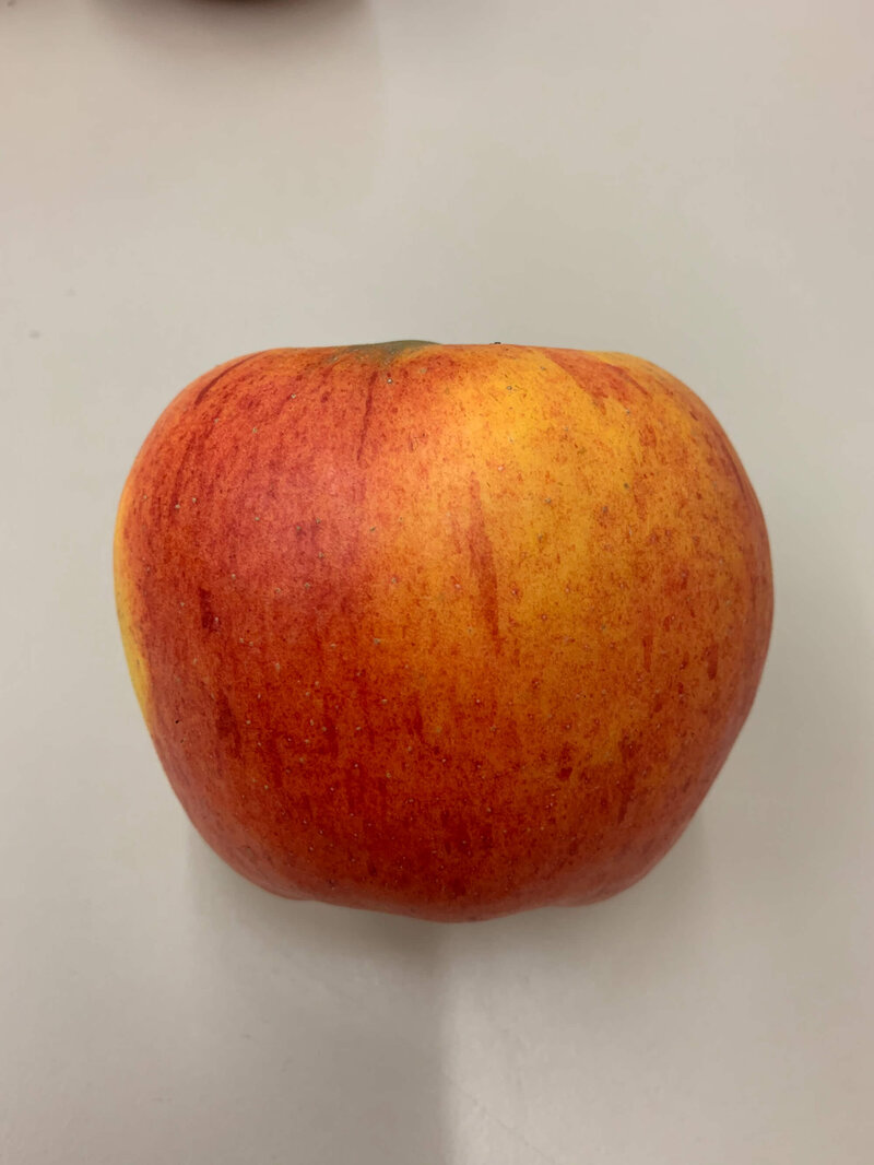 Malus domestica 'Goldparmäne'