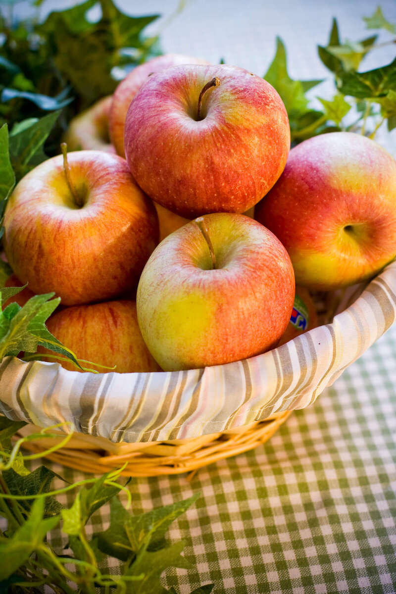 Malus domestica 'Goldparmäne'