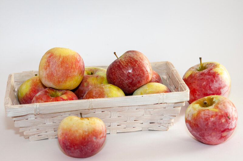 Malus domestica 'Florina'