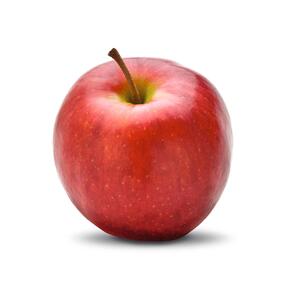 Malus domestica 'Red Topaz'