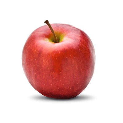 Malus domestica 'Red Topaz'