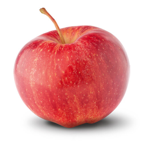 Malus domestica Rubinola