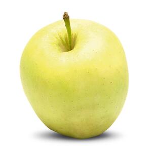 Malus domestica Apfel Weißer Klarapfel