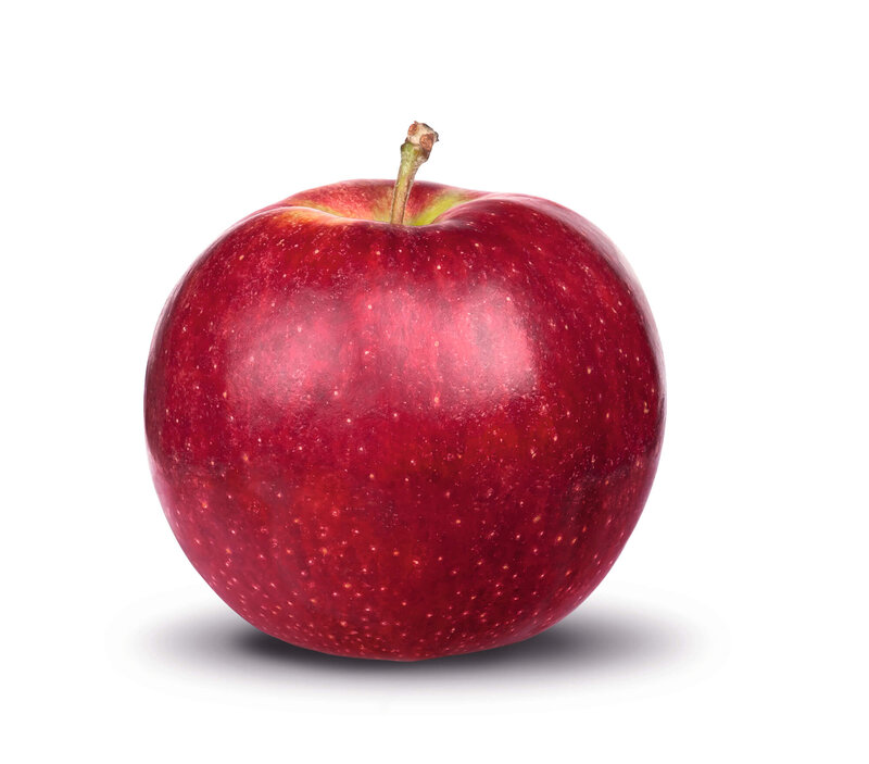 Malus domestica Chinon