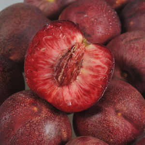 Prunus nucipersica Sanguine d'Auvergne