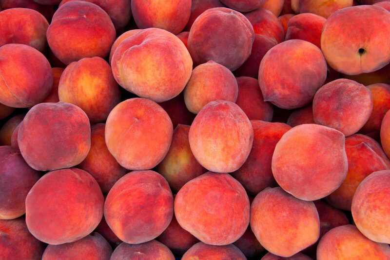 Prunus persica Crimson