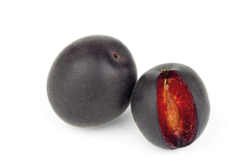 Prunus domestica ‚Aprisali‘