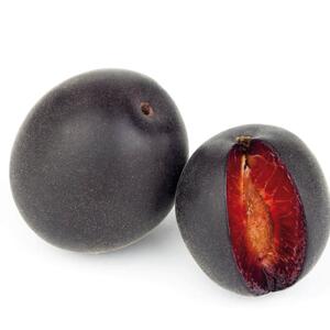 Prunus domestica ‚Aprisali‘