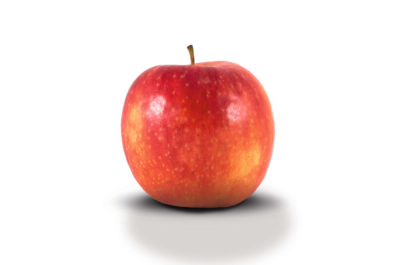 Malus domestica Delbarestival