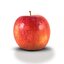 Malus domestica Delbarestival