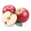 Malus domestica Rubin