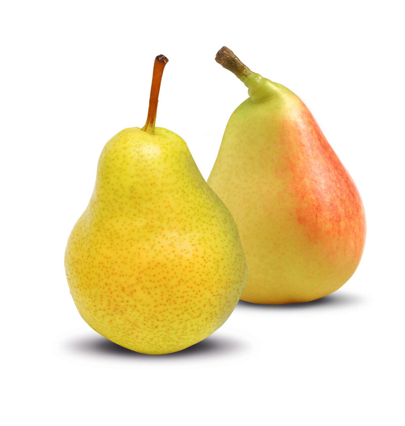 Pyrus communis Clapp's Liebling + Williams Christbirne