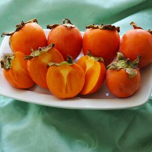 Diospyros kaki 'Tipo'