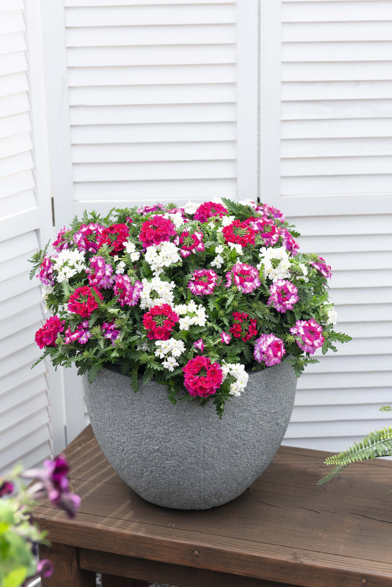 Garden Trio Linda Girly 