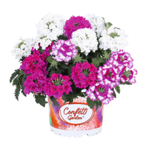 Garden Trio Linda Girly 