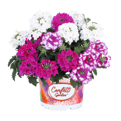 Garden Trio Linda Girly 