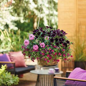 Garden Trio Linda Victoria baby
