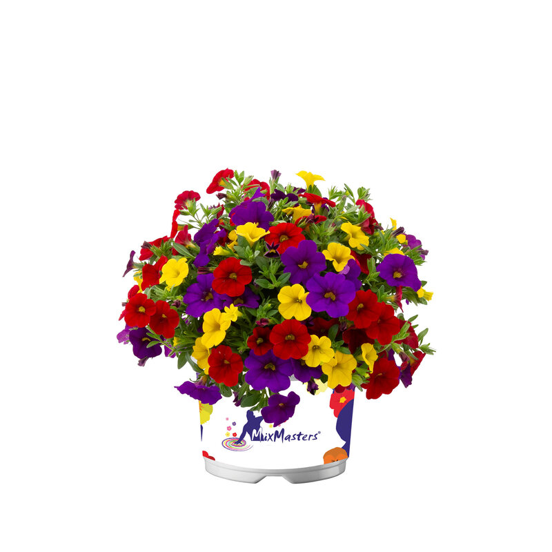 Garden Trio Tropicana