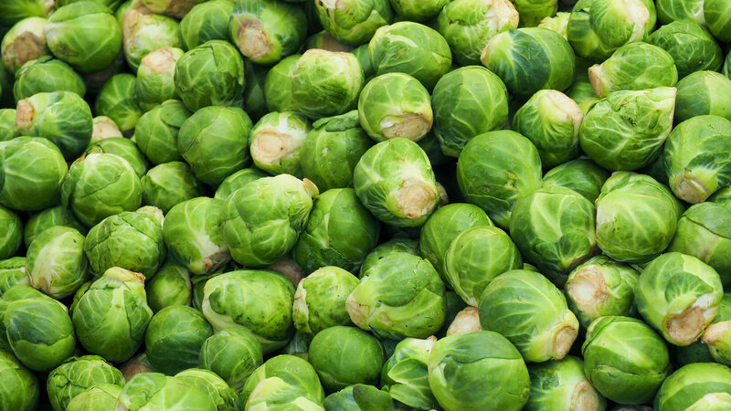 Brassica oleracea var. gemmifera