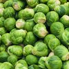 Brassica oleracea var. gemmifera