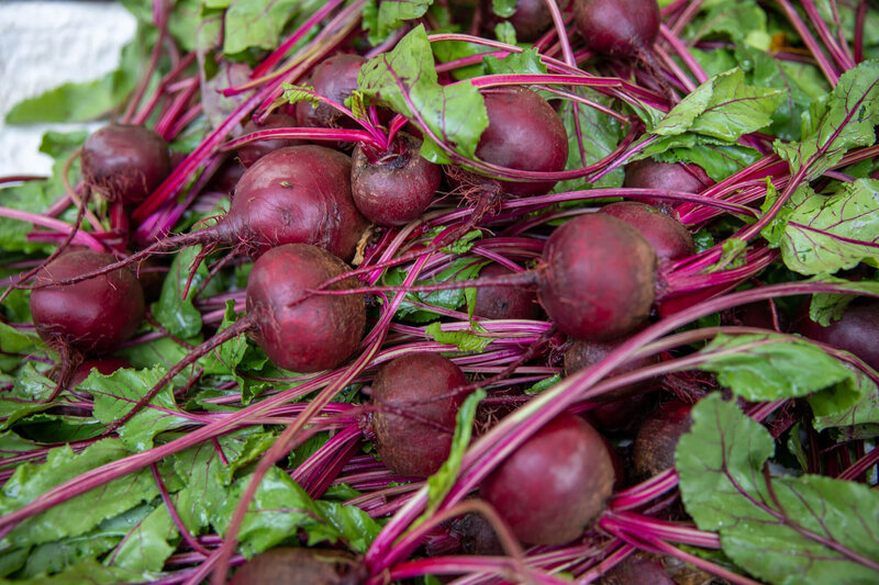 Beta vulgaris