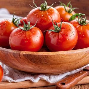 Solanum lycopersicum ‚Previa‘ F1