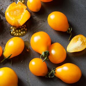 Solanum lycopersicum ‚Yellow Pear‘ F1 