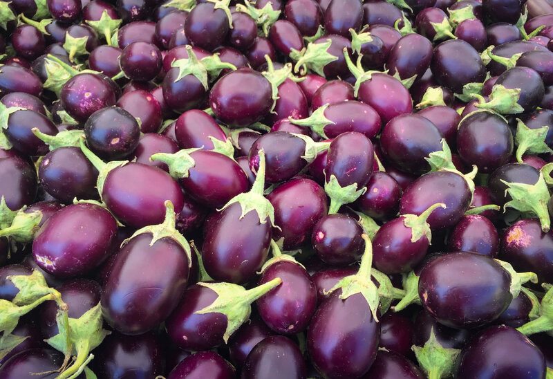 Solanum melongena ‚Jackpot‘
