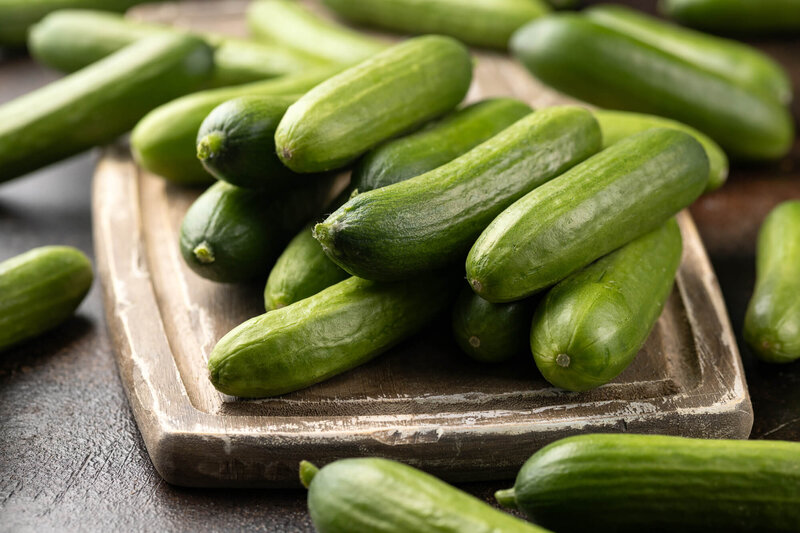 Cucumis sativus